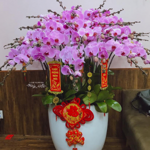Chậu Hoa Chúc Mừng - LB00022 - labe.vn
