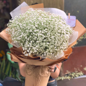 Babi xinh - LB00092 - labe.vn