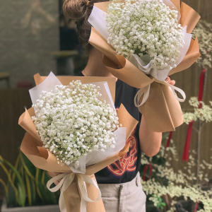 Chậu Hoa Tặng Sinh Nhật - LB00141 - labe.vn
