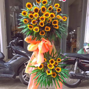 Hướng dương - LB00159 - labe.vn