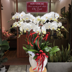 Hưng thịnh - LB00198 - labe.vn