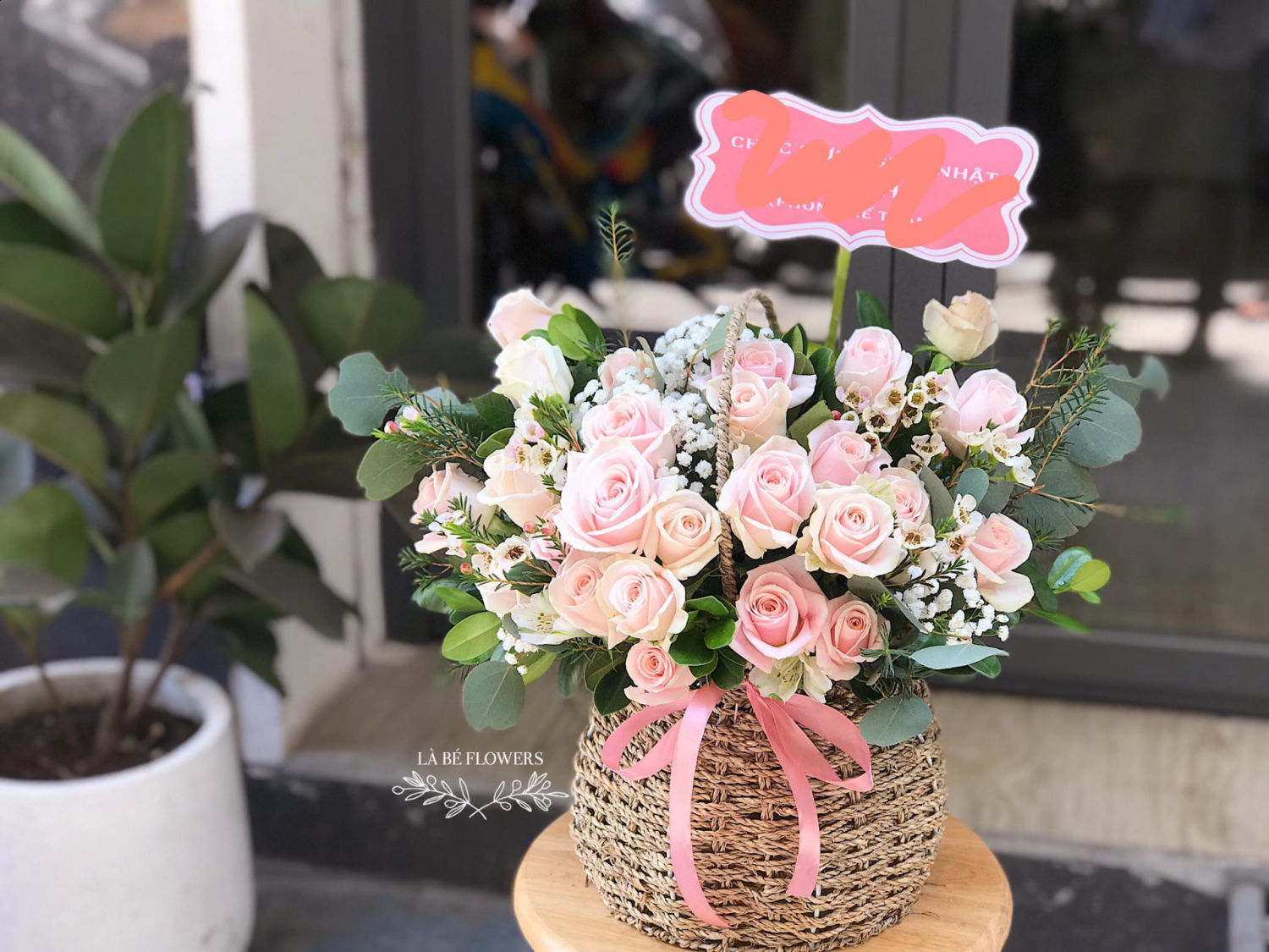 Chậu Hoa Chúc Mừng - LB00034 - labe.vn