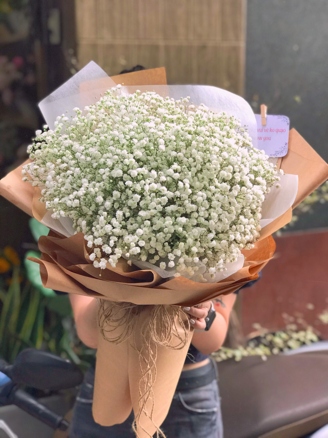 Babi xinh - LB00092 - labe.vn