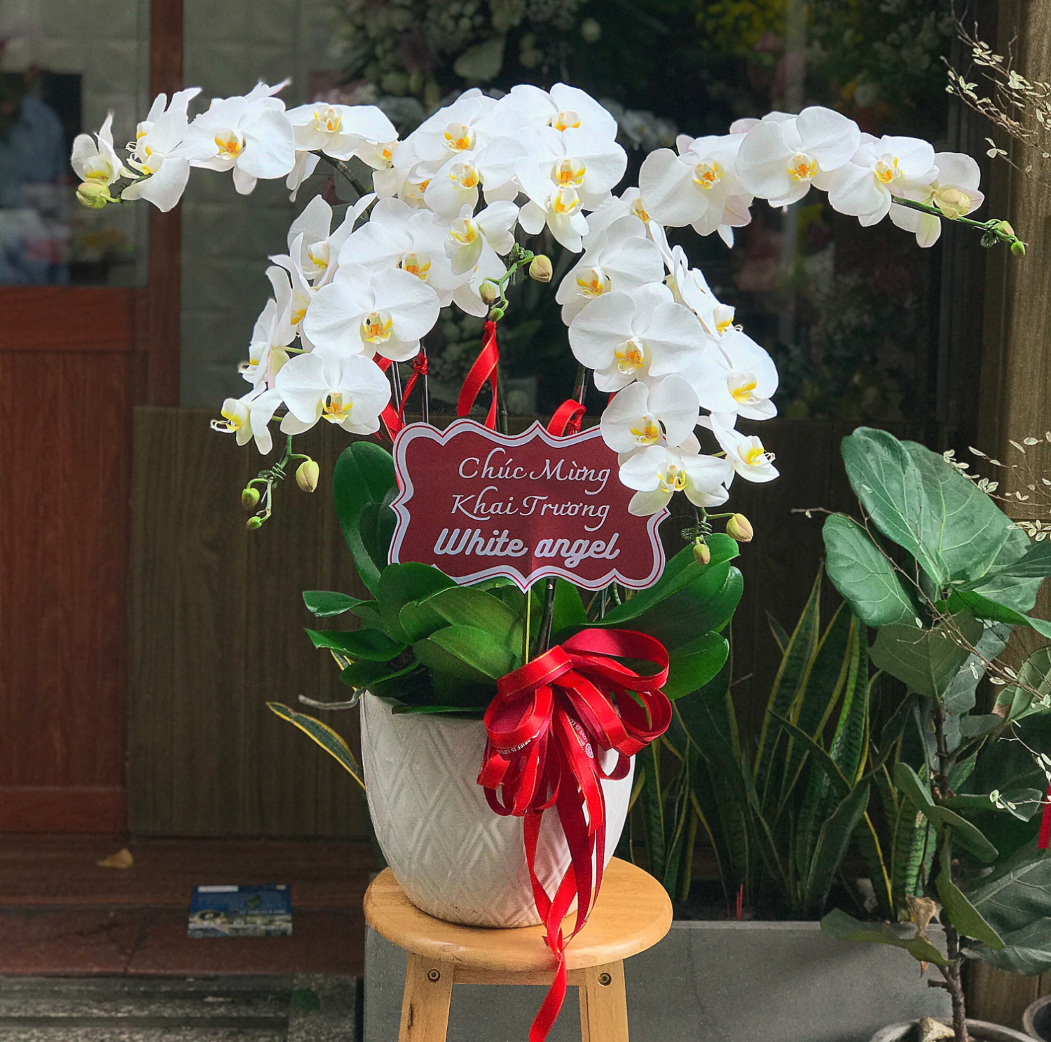 Chậu  - LB00097 - labe.vn