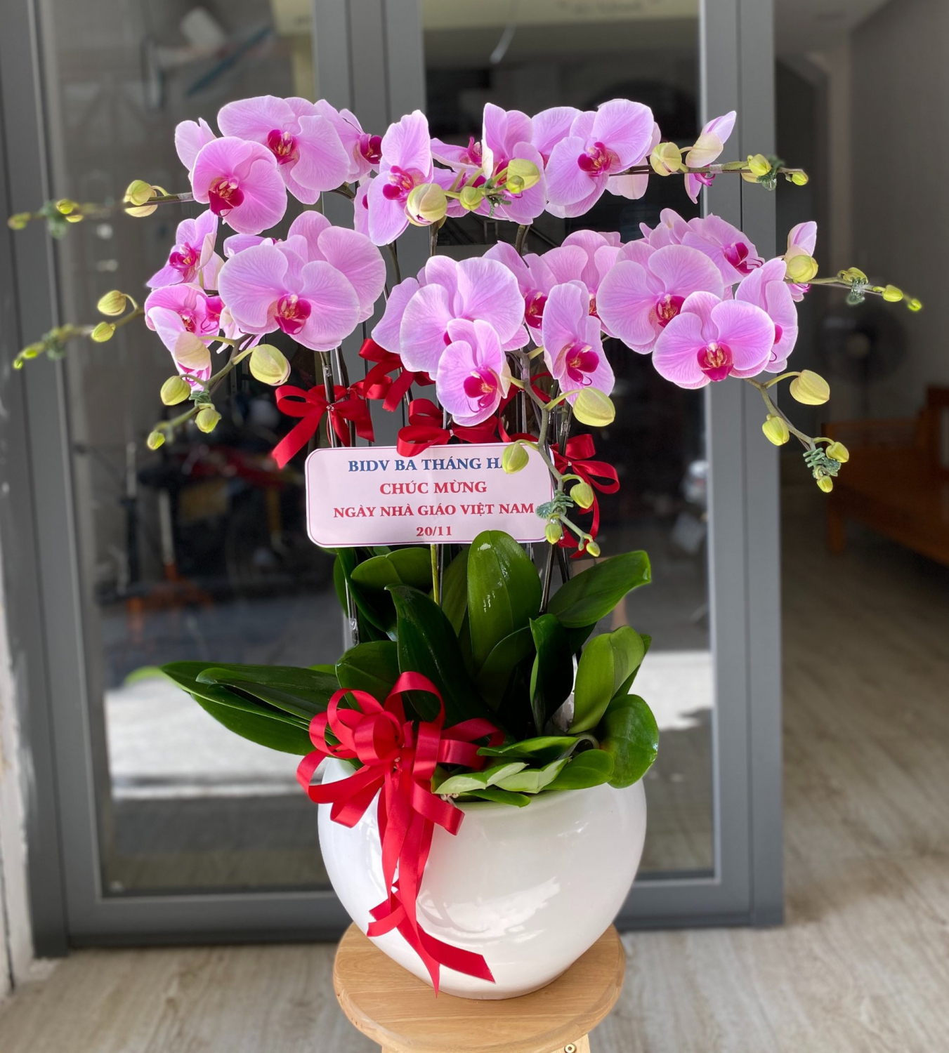 Chậu  - LB00148 - labe.vn