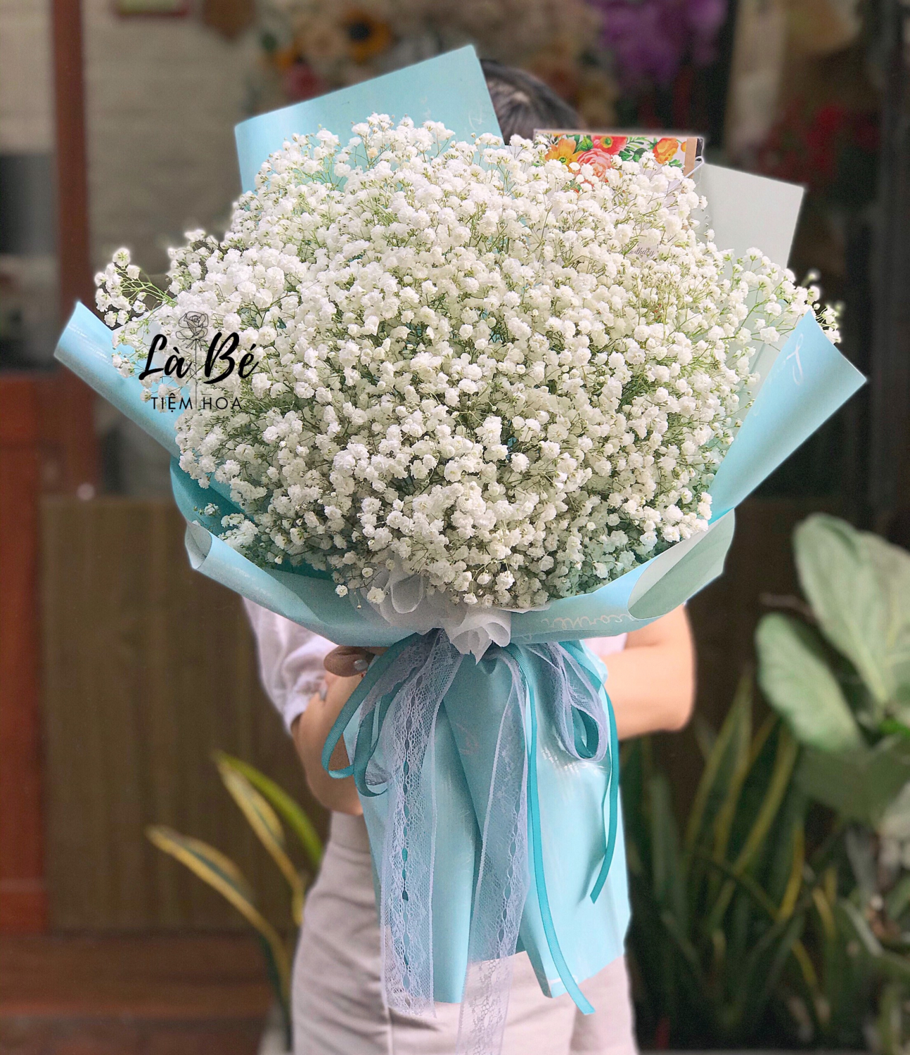 Babi - LB00151 - labe.vn