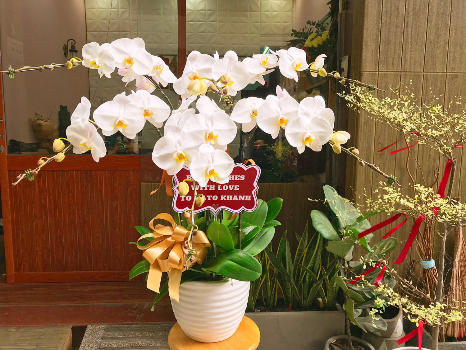 Hồ điệp trắng - LB00164 - labe.vn