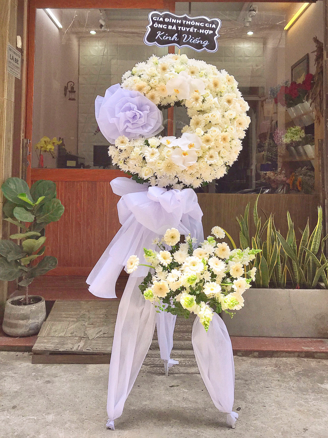 Chậu  - LB00220 - labe.vn