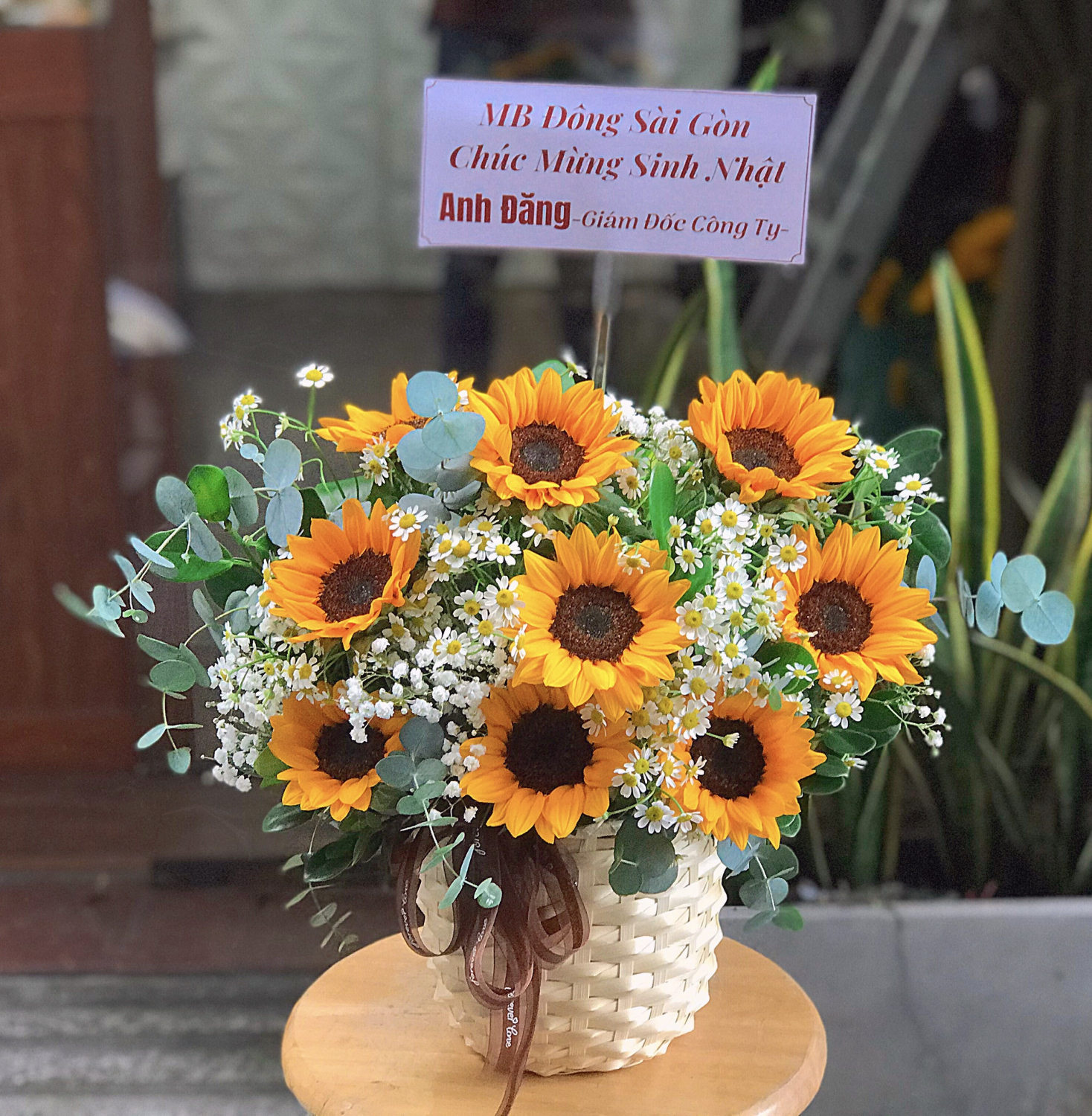 Tình nắng - LB00229 - labe.vn