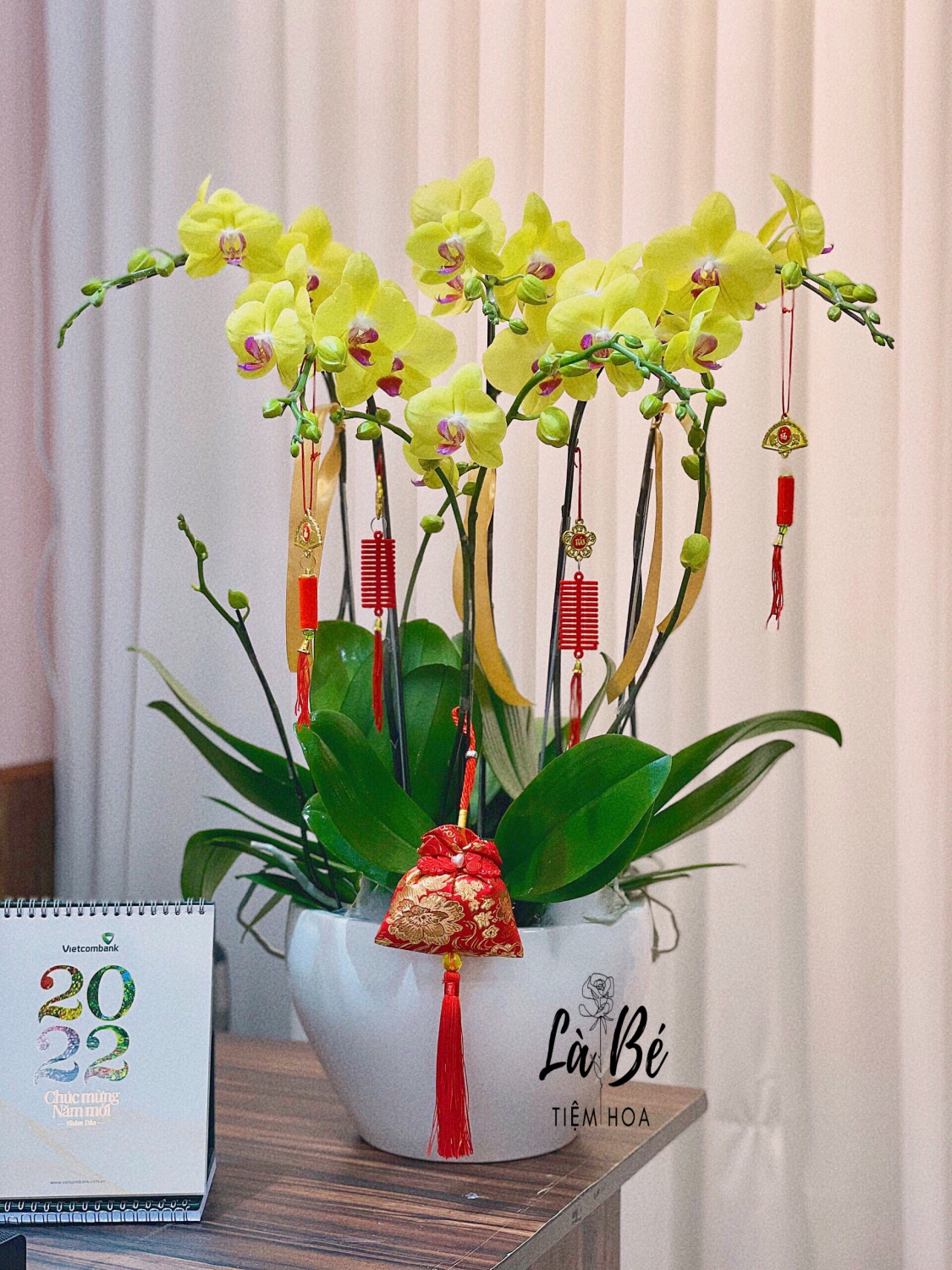 CHẬU HOA LAN TẾT - LB00254 - labe.vn